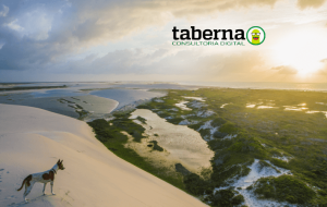 Marketing Digital para Turismo